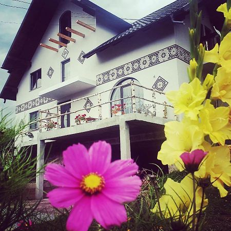 Casa Aureliana Villa Ciocanesti Eksteriør billede