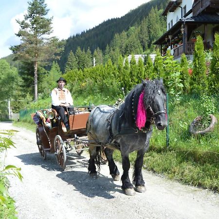 Casa Aureliana Villa Ciocanesti Eksteriør billede