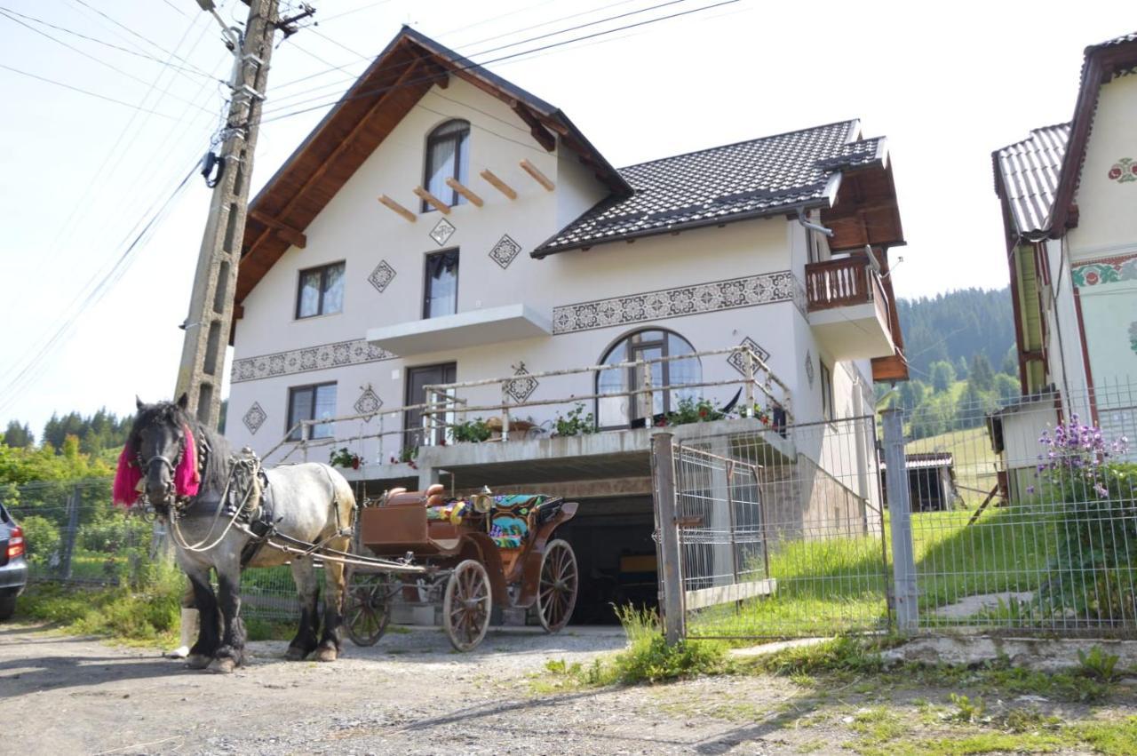 Casa Aureliana Villa Ciocanesti Eksteriør billede