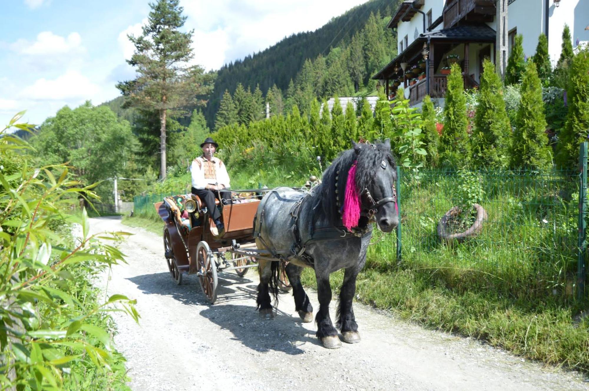 Casa Aureliana Villa Ciocanesti Eksteriør billede