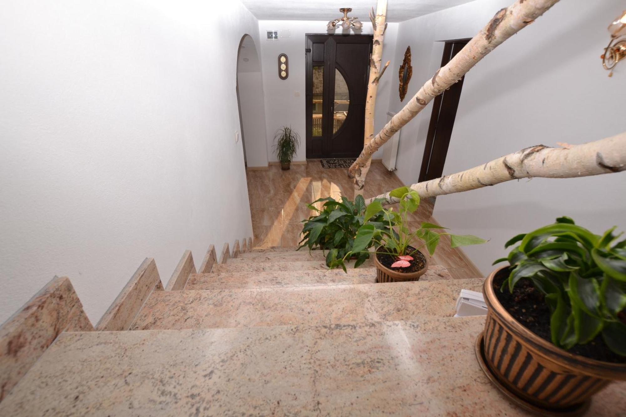 Casa Aureliana Villa Ciocanesti Eksteriør billede